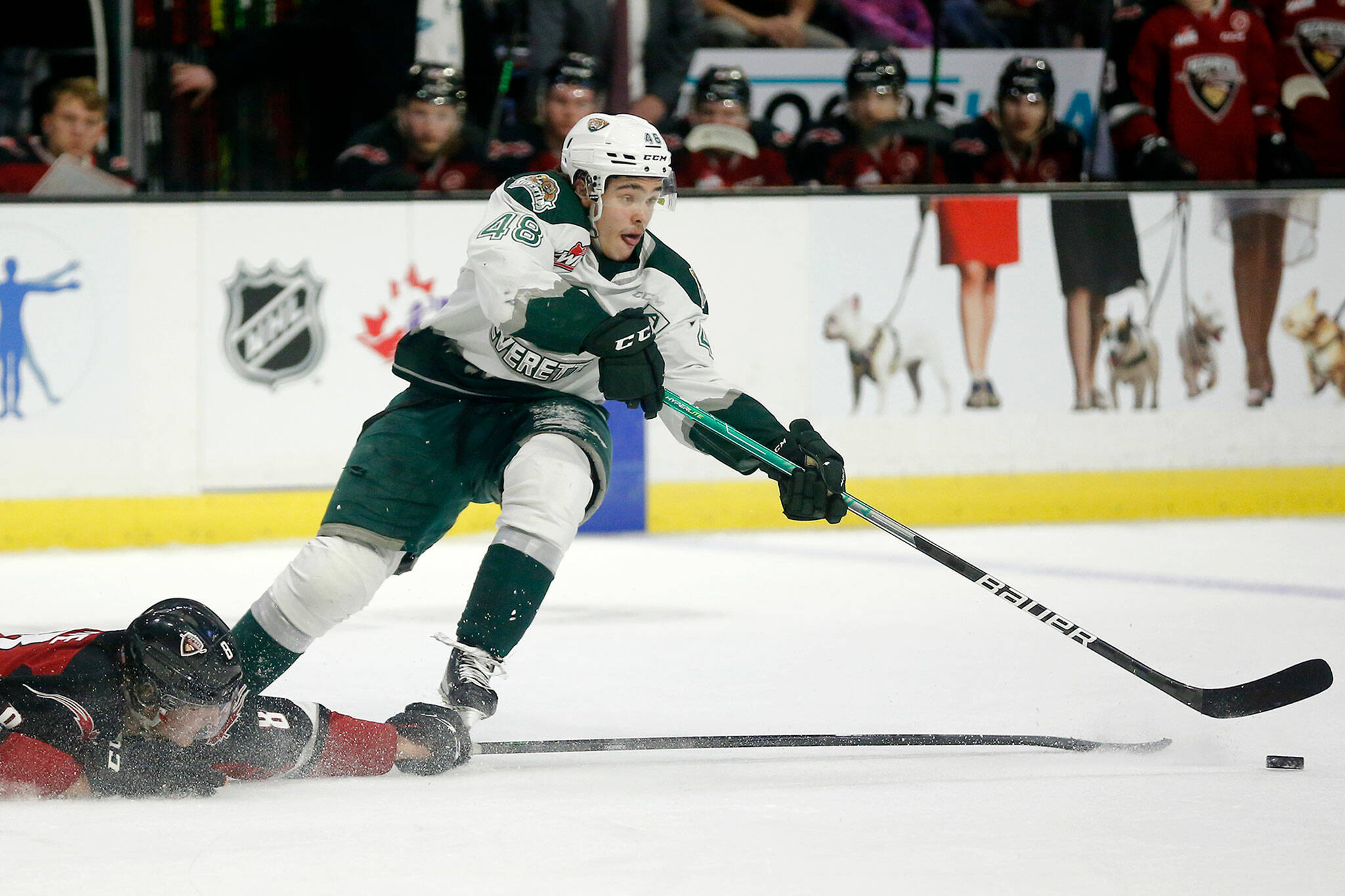 The Everett Silvertips’ Olen Zellweger maneuvers around a Vancouver Giants defender during a strong first period for the Silvertips in the first round of the WHL playoffs Friday, April 22, 2022, at Angel of the Winds Arena in Everett, Washington. (Ryan Berry / The Herald)