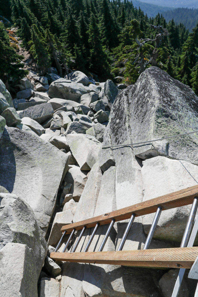 A ladder is the final leg of the hike to the Mt. Pilchuck Lookout. (Kevin Clark / The Herald)
