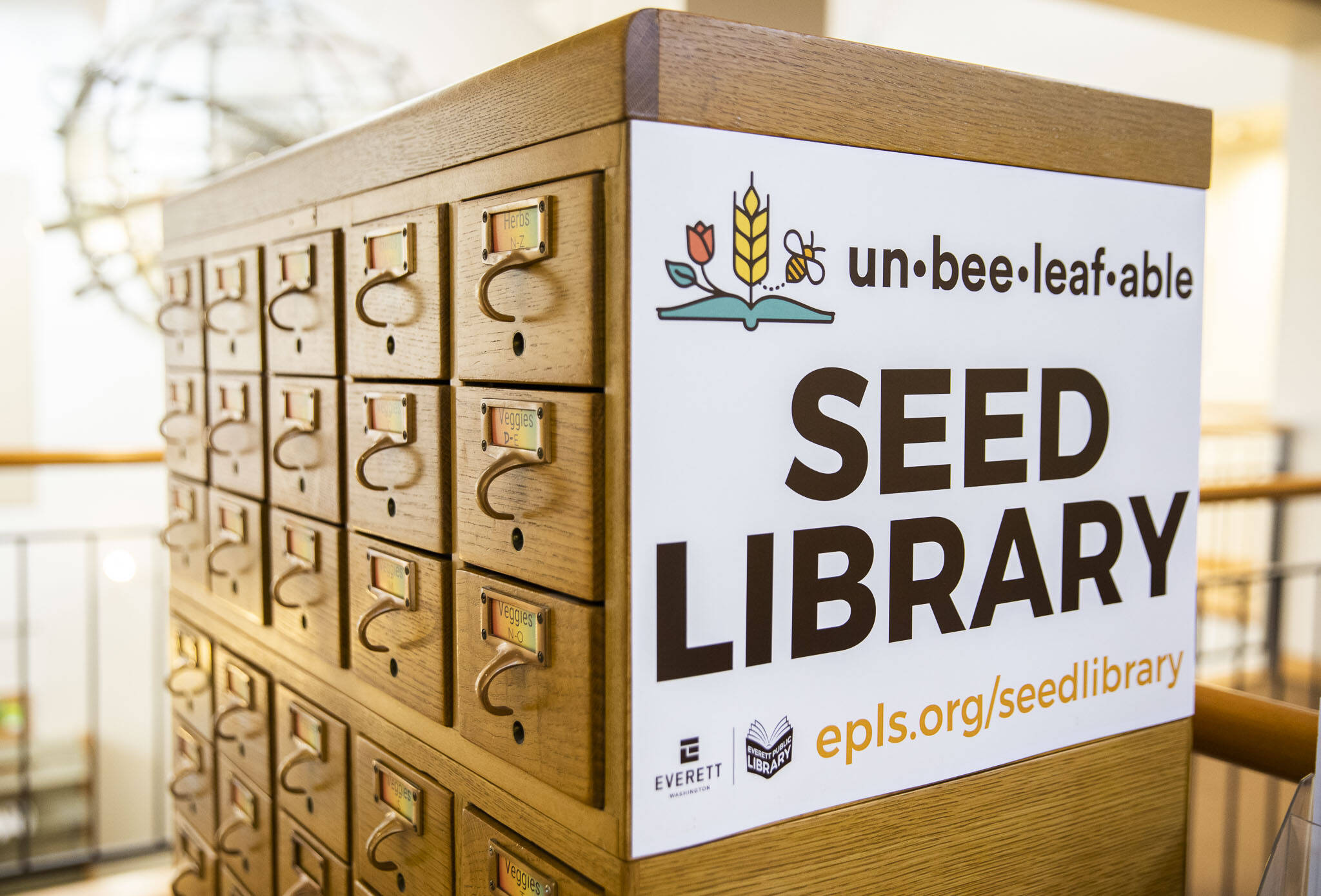 Everett Library’s new “un-bee-leaf-able” Seed Library on Friday, in Everett. (Olivia Vanni / The Herald)