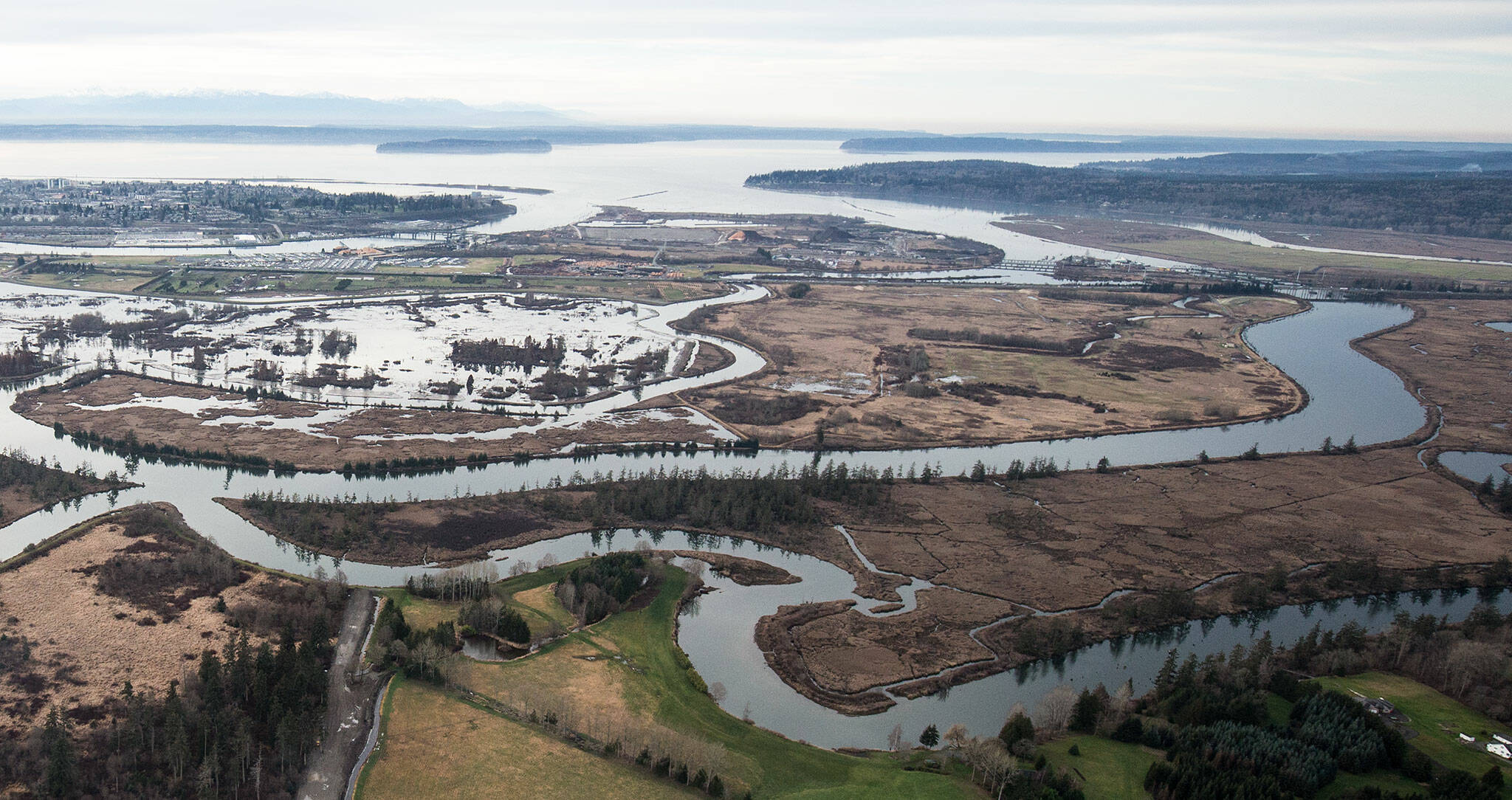 The ecological goal for Blue Heron Slough, upper right, is to restore tidal channels, marsh, and mud flats by breaching old agricultural dikes as seen at Smith Island at left. Shot on Jan. 15, 2019, in Everett. (Andy Bronson / The Herald)