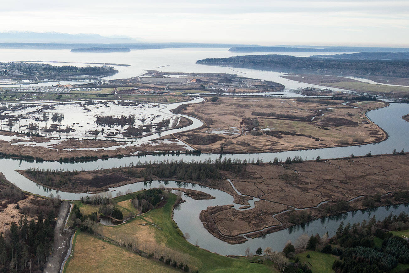The ecological goal for Blue Heron Slough, upper right, is to restore tidal channels, marsh, and mud flats by breaching old agricultural dikes as seen at Smith Island at left. Shot on Tuesday, Jan. 15, 2019 in Everett, Wa. (Andy Bronson / The Herald)