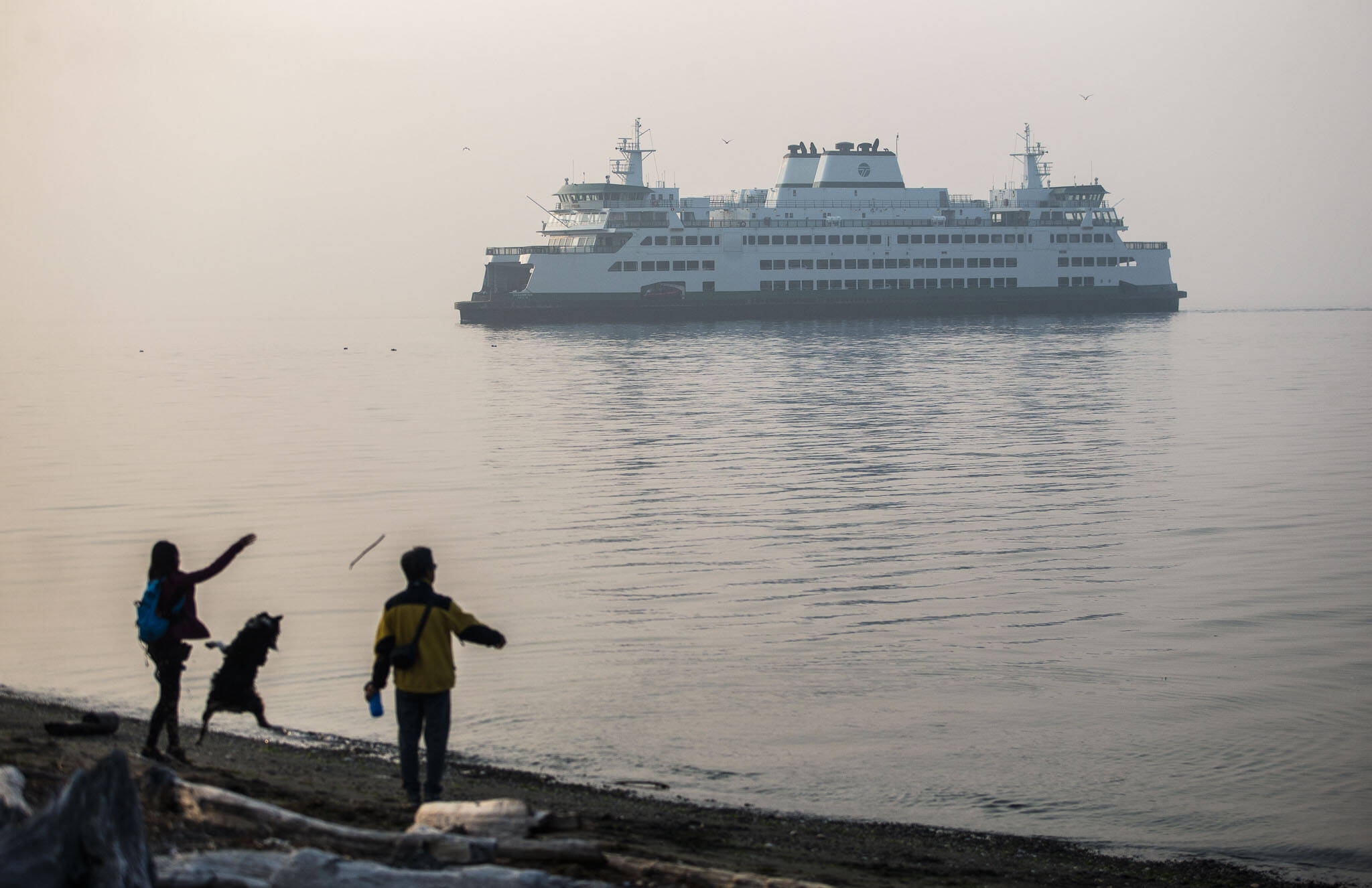 People throw sticks for their dog along Edgewater Beach while a ferry emerges from smoke covering Possession Sound on Wednesday, in Mukilteo. (Olivia Vanni / The Herald)