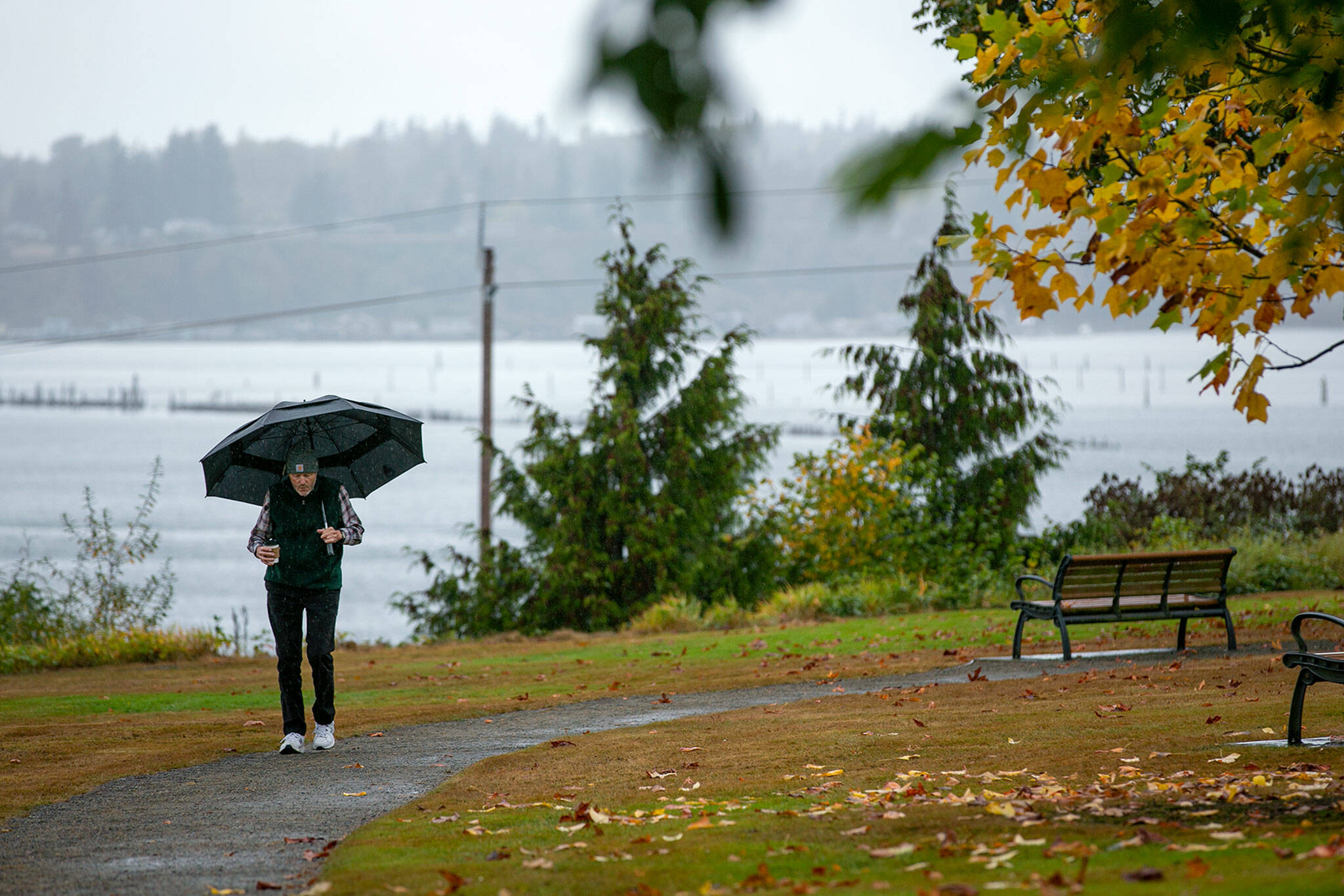 Bill Pearson, 78, takes a walk through the rain at Hibulb Lookout — one of his favorite spots — while nursing a latte from Bargreen’s on Friday, in Everett. A lifelong Washingtonian, save a few years in the Army, Pearson said he feels more comfortable getting outside during the milder months. “This is my time of year,” he said, gesturing to the clouds and rain. (Ryan Berry / The Herald)