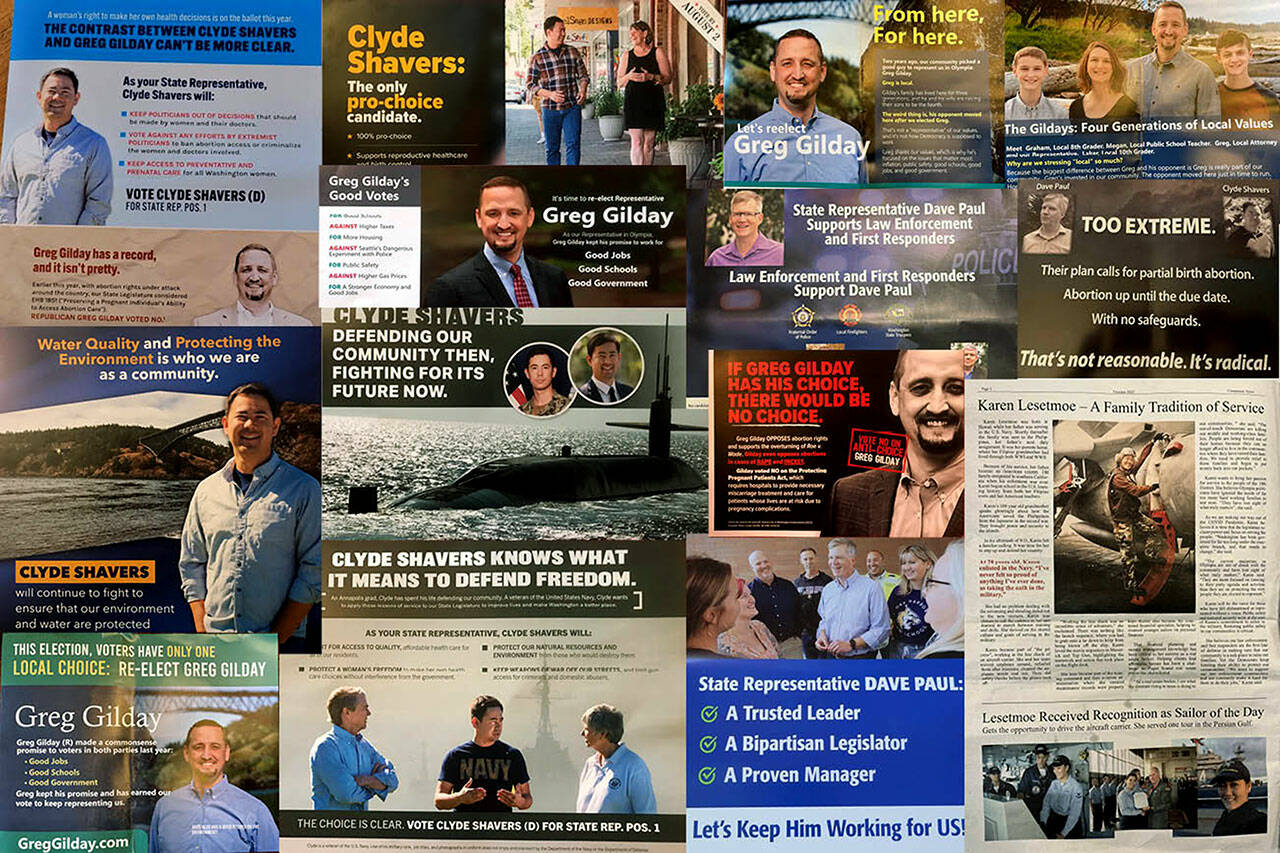 A collection of mailers sent to voters in the 10th Legislative District.