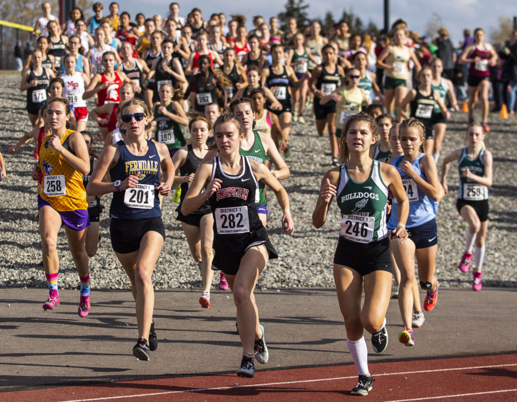 The runners in the 3A Girls District Cross Country championship race run onto the track on Saturday, Oct. 29, 2022 in Arlington, Washington. (Olivia Vanni / The Herald)
