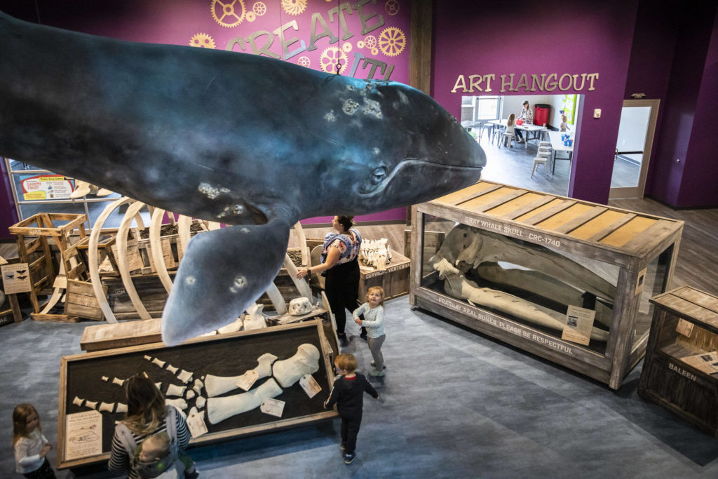 Children play and look up at a large whale figure hanging from the ceiling at the Imagine Children’s Museum on Oct. 26, in Everett. (Olivia Vanni / The Herald)
