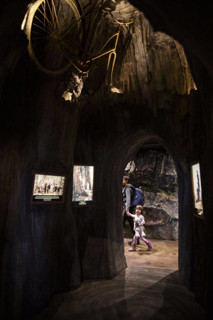 People explore the new areas at the Imagine Children’s Museum on Oct. 26, in Everett. (Olivia Vanni / The Herald) 
