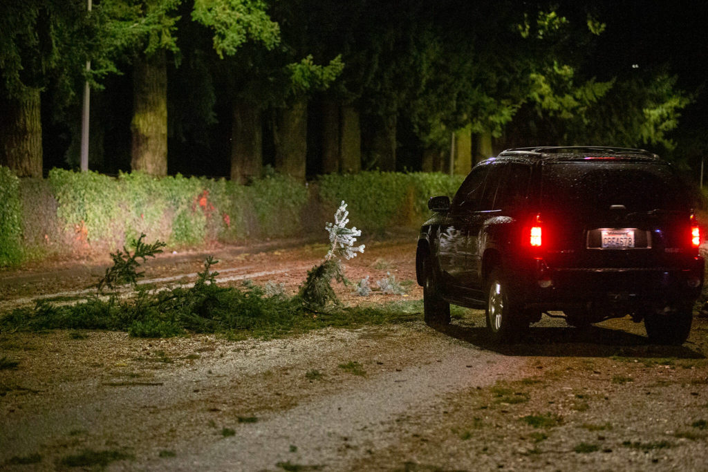 A vehicle drives around tree debris on Colby Avenue near Everett Golf Club at the tail end of a windy evening at around 1 a.m. Saturday, in Everett. (Ryan Berry / The Herald)

