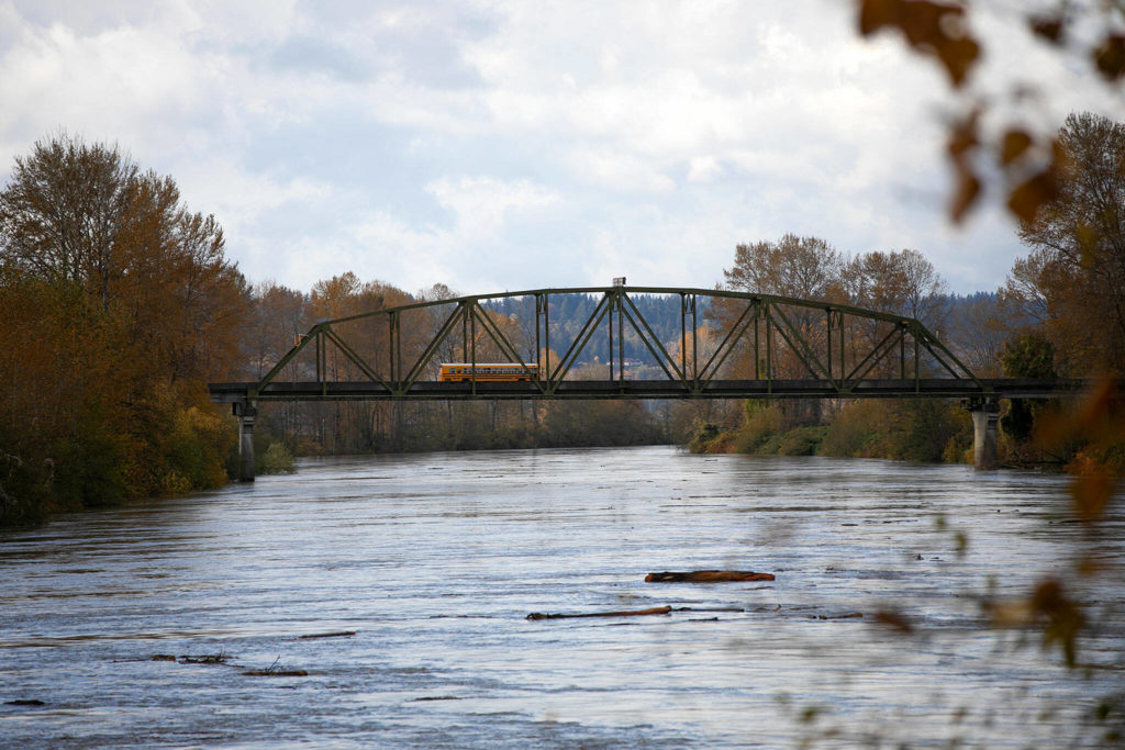 Large logs flow quickly down the Snohomish River as the river reaches minor flood stage a hair over 25 feet following an overnight storm Saturday, in Snohomish. (Ryan Berry / The Herald)
