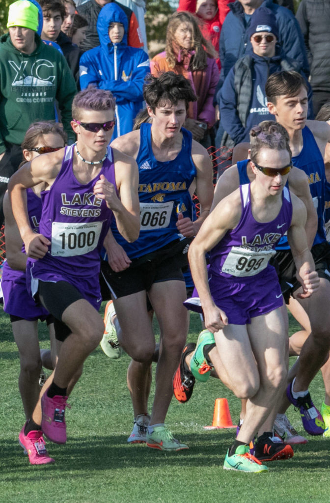 The Lake Stevens boys cross country team starts the 4A state championship race on Saturday at Sun Willows Golf Course in Pasco. (TJ Mullinax / For The Herald)
