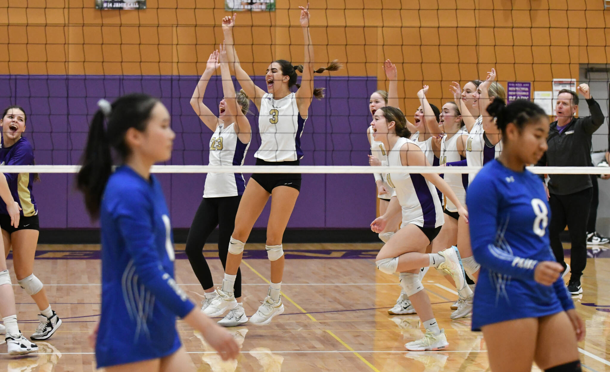 The Lake Stevens bench rushes onto the court to celebrate their teams win over Bothell during a 4A District 1/2 Tournament match on Nov. 8, 2022, in Lake Stevens. (John Gardner / Pro Action Image)