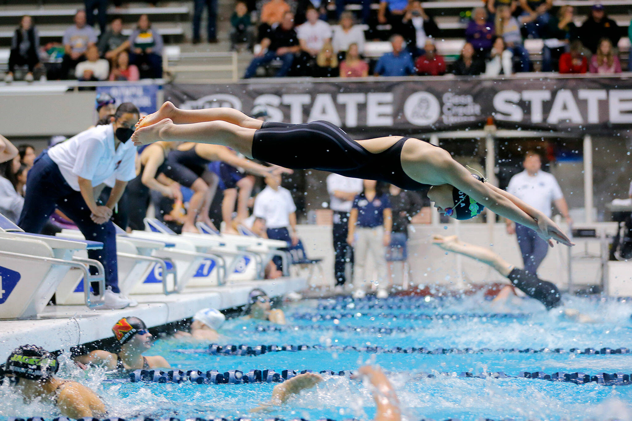 Jackson sophomore Olivia Hoyla helped the Timberwolves to a fifth-place team finish at the Class 4A girls swim and dive state championships Saturday at King County Aquatic Center in Federal Way. (Ryan Berry / The Herald)