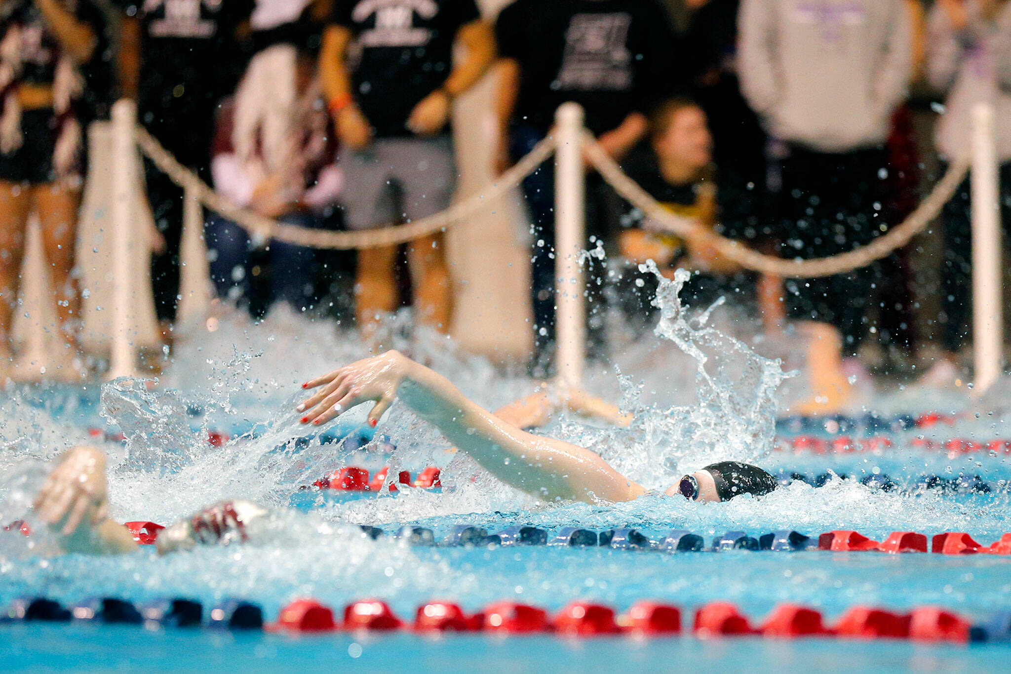 Snohomish junior Mary Clarke swims in the 100 yard freestyle final during the WIAA 3A Girls State Swim and Dive Championships on Saturday, Nov. 12, 2022, at the Weyerhaeuser King County Aquatic Center in Federal Way, Washington. (Ryan Berry / The Herald)