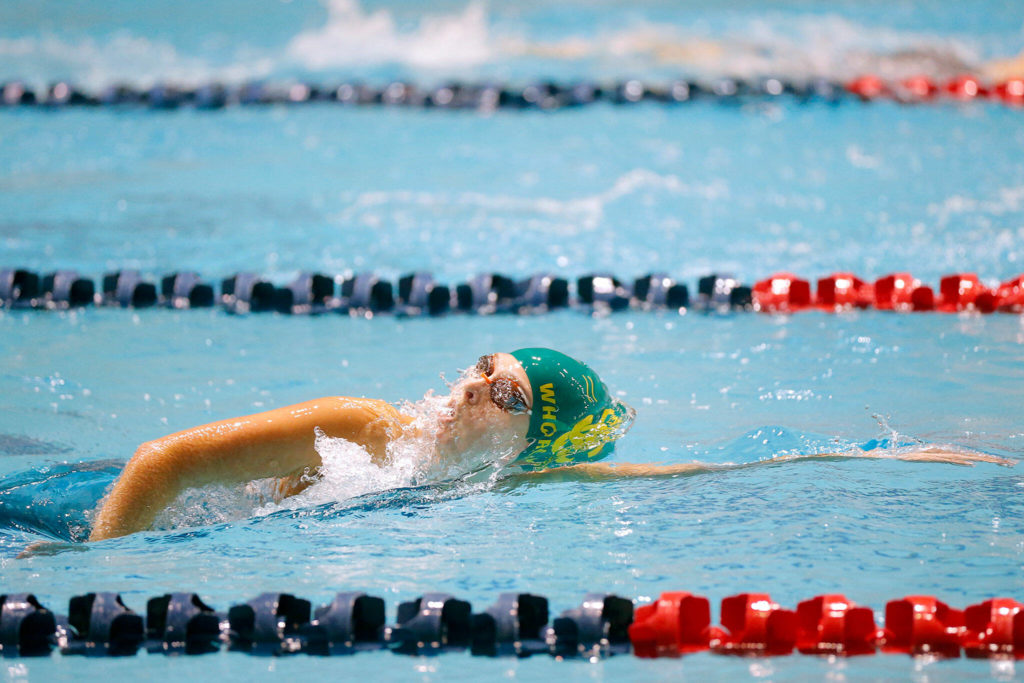 Shorecrest sophomore Quinn Whorley competes in the 500 yard freestyle consolation, finishing first in the heat, during the WIAA 3A Girls State Swim and Dive Championships on Saturday, Nov. 12, 2022, at the Weyerhaeuser King County Aquatic Center in Federal Way, Washington. (Ryan Berry / The Herald)
