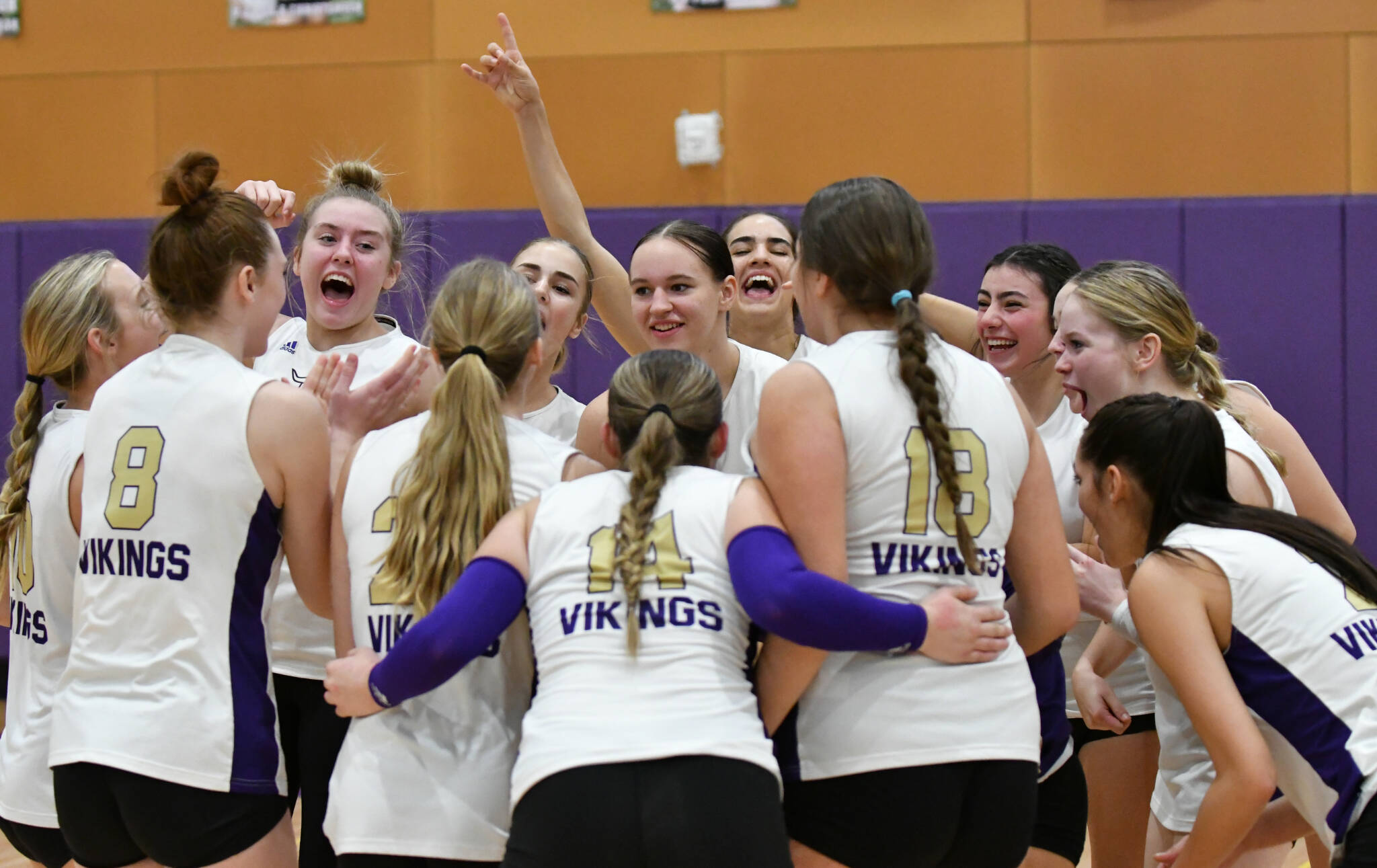 Lake Stevens volleyball team members celebrate their win over Bothell during a Class 4A Wes-King Bi-District tournament match Nov. 8 in Lake Stevens. The Vikings are seeded fourth in the 4A state bracket. (John Gardner / Pro Action Image)