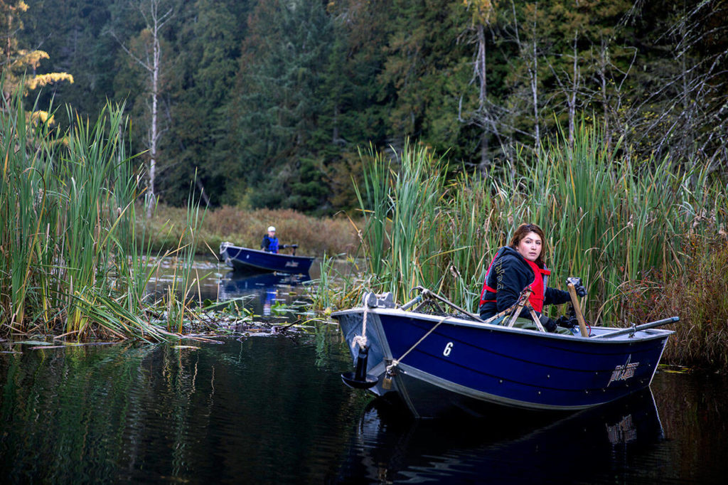 Wildlife Biologist Annalei Leese, from Tulalip Tribe Natural Resources, transports a trapped North American Beaver on a boat at Naval Radio Station Jim Creek, Washington, Oct. 12. The Tulalip Beaver Project relocates “nuisance” beavers from urban and suburban areas to hydrologically impaired tributaries in the upper Snohomish Watershed for the improvement of fish rearing habitat and fresh water storage. (U.S. Navy photo by Mass Communication Specialist 2nd Class Ethan Soto)
