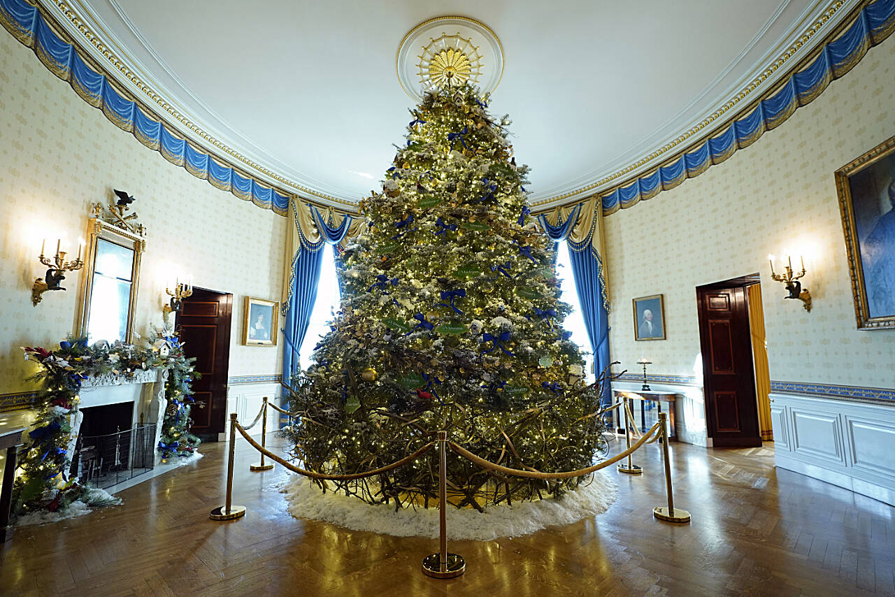 The White House Christmas Tree is on display in the Blue Room of the White House during a press preview of holiday decorations at the White House, Monday, in Washington. (Patrick Semansky / Associated Press)