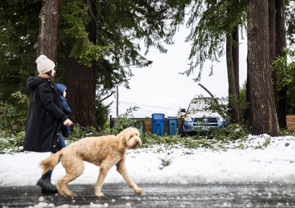 People walk by downed branches that landed on a car along 92nd Avenue on Wednesday, Nov. 30, 2022 in Edmonds, Washington. (Olivia Vanni / The Herald)
