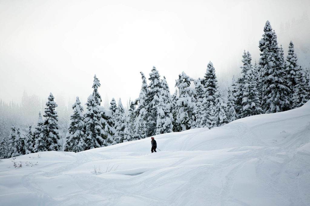 A skier comes to a stop before heading down a patch of ungroomed snow. (Ryan Berry / The Herald)
