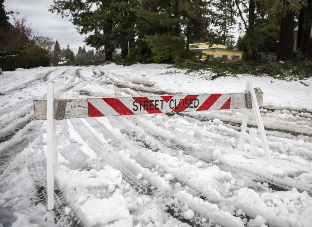 A street closed sign blocks off a street with tree debris covering the road on Wednesday, Nov. 30, 2022, in Edmonds, Washington. (Olivia Vanni / The Herald)
