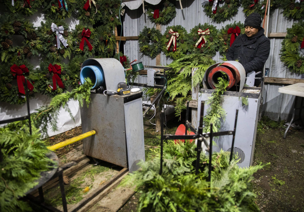 Hector Rodriguez runs the garland wrapping machine on Dec. 5, in Monroe. (Olivia Vanni / The Herald)
