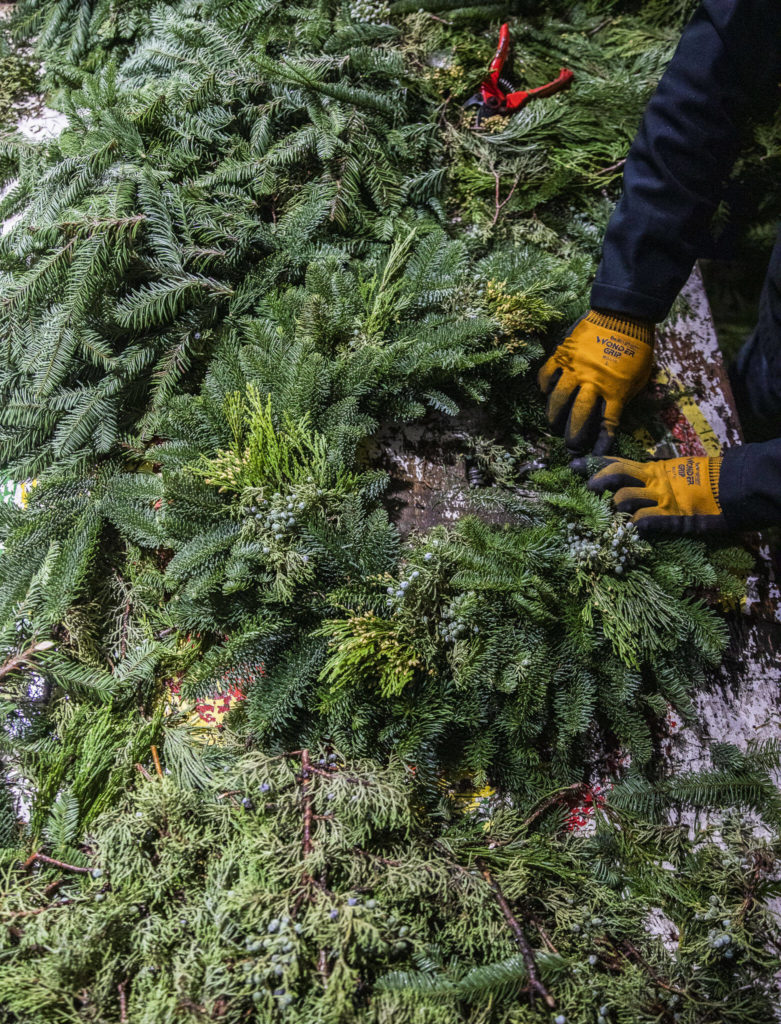 Franco Montano works on putting together a wreath at his workshop on Dec. 5, in Monroe. (Olivia Vanni / The Herald)
