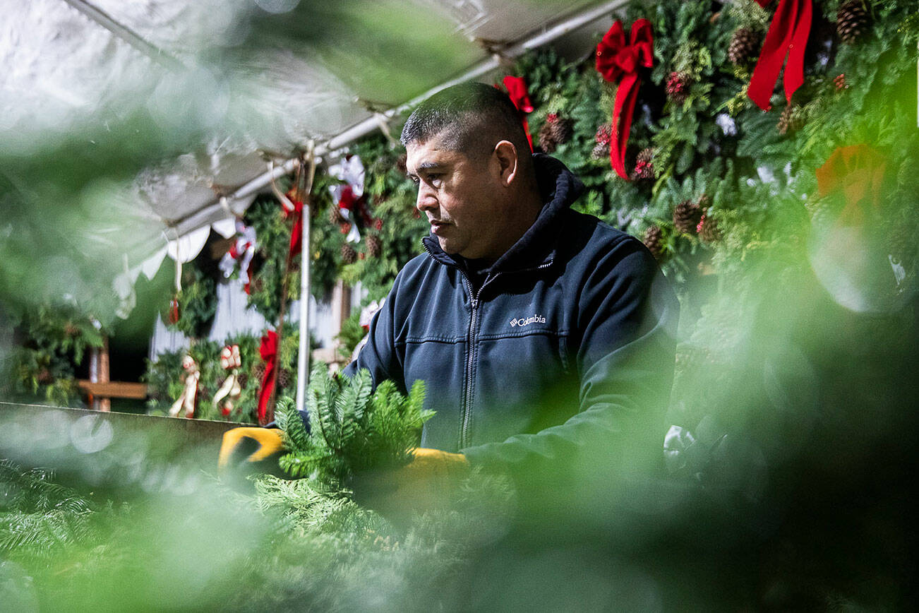 Franco Montano works on putting together a wreath at his workshop on Monday, Dec. 5, 2022 in Monroe, Washington. (Olivia Vanni / The Herald)