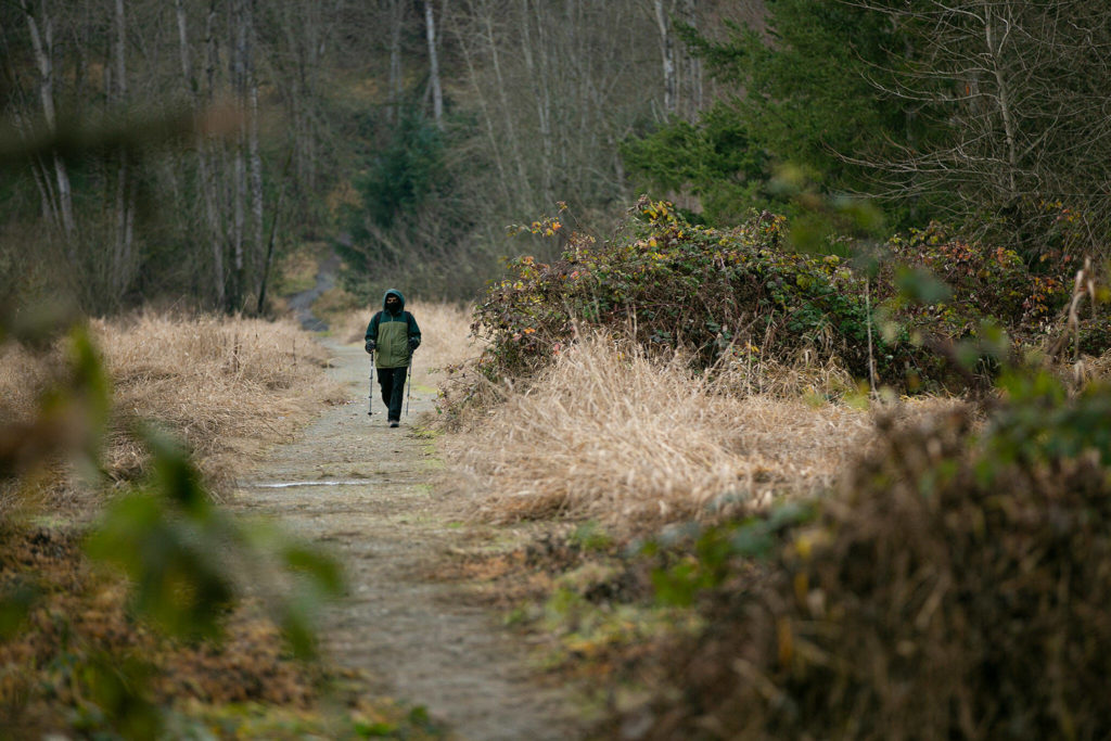 A hiker heads out to the Snohomish River along the trail that leads from the parking lot Dec. 14, at Bob Heirman Wildlife Park at Thomas’ Eddy, in Snohomish. (Ryan Berry / The Herald)
