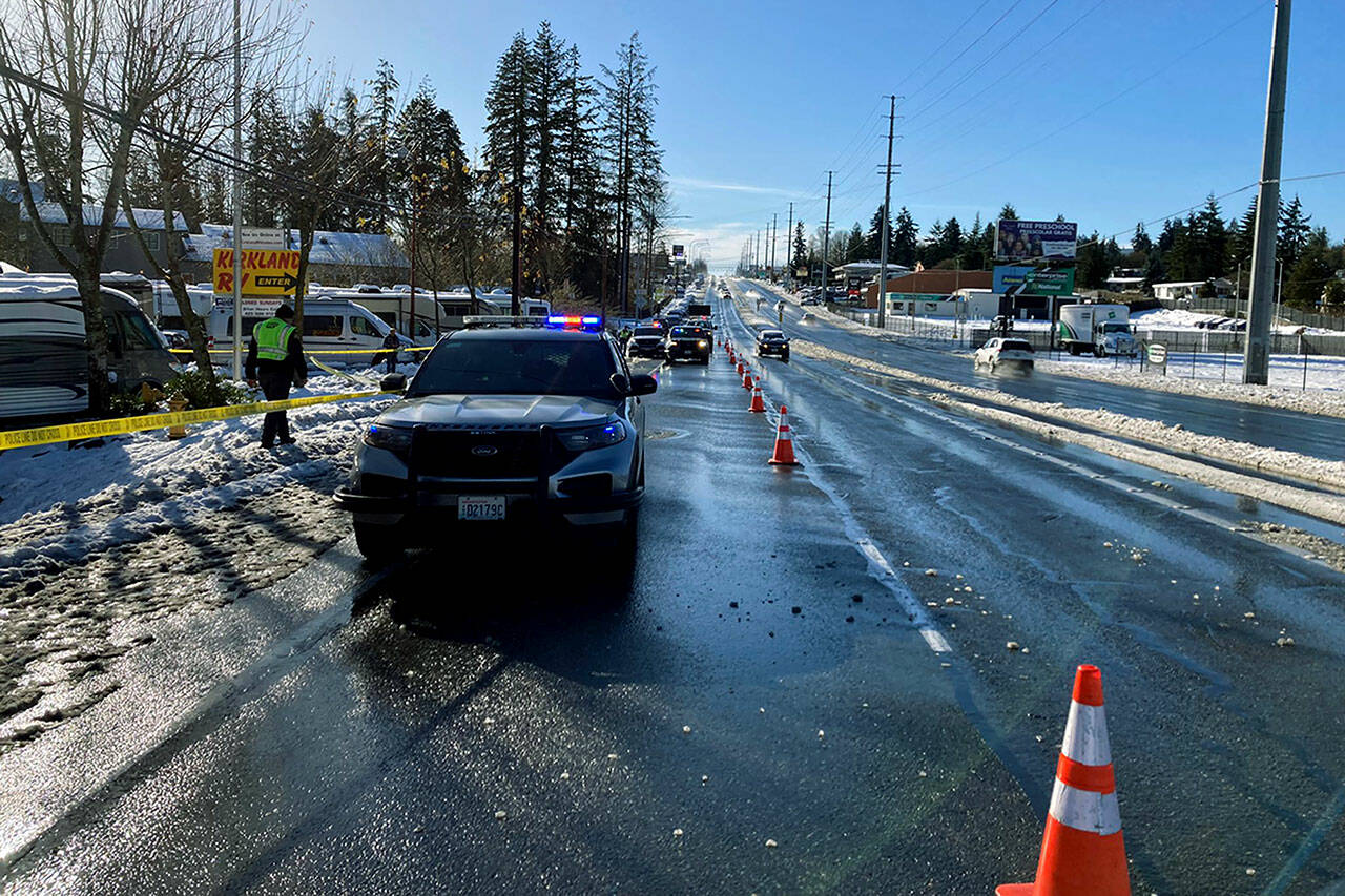 Authorities respond to a crash that killed a pedestrian off Highway 99 on Dec. 3. (Washington State Patrol)