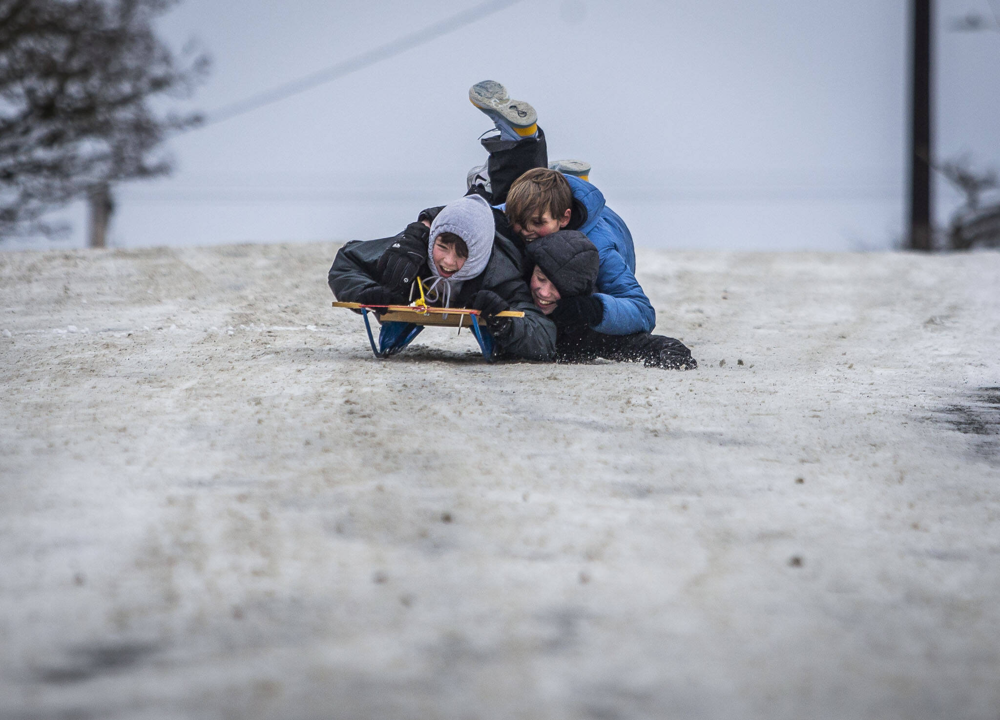 Ray Hendry, Corbyn Scervik and Same Lane try to all fit on one sled as they navigate their way down the hill on Thursday, Dec. 22, 2022 in Everett, Washington. (Olivia Vanni / The Herald)