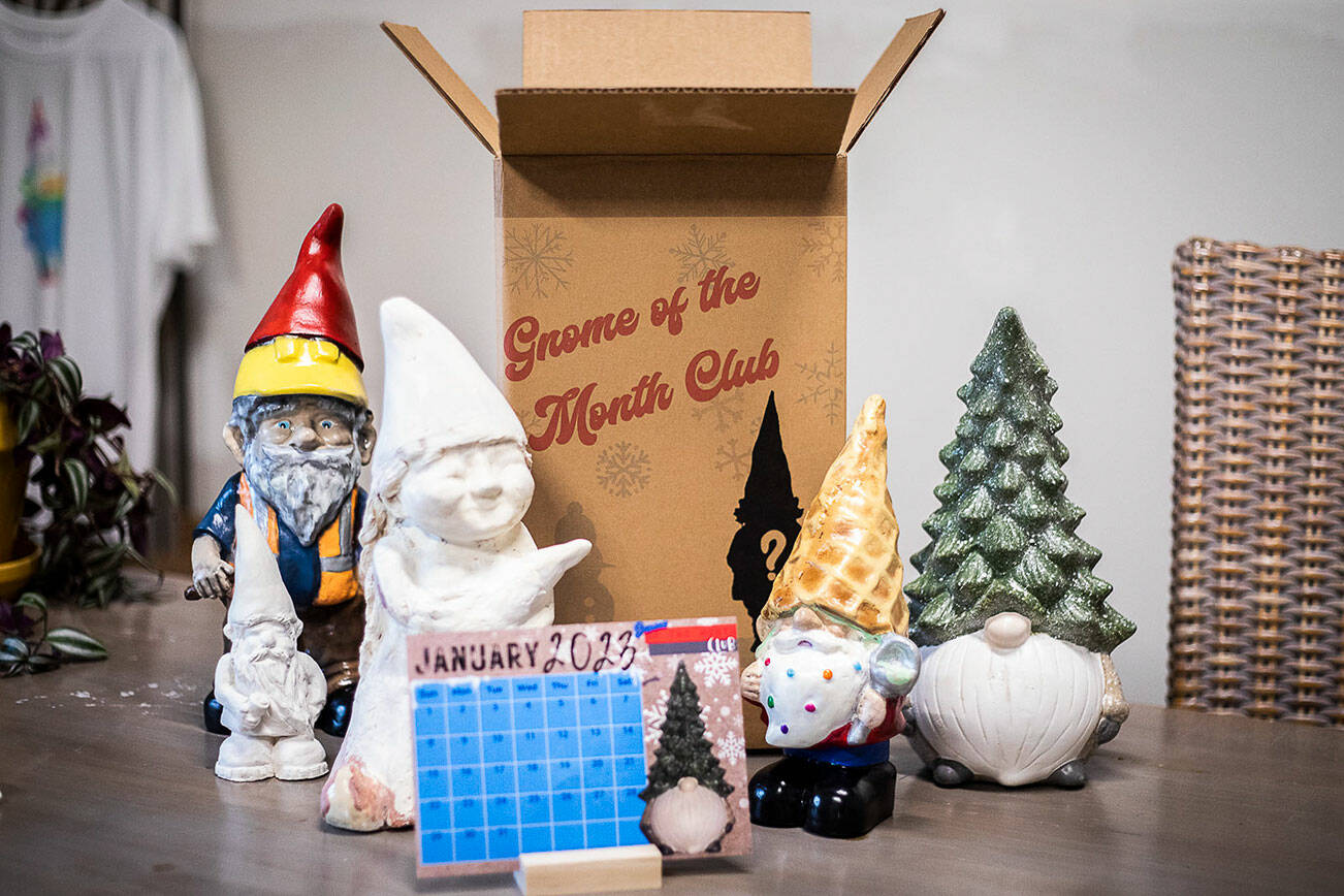 A selection of gnomes along with the gnome of the month and calendar on Thursday, Dec. 22, 2022 in Sultan, Washington. (Olivia Vanni / The Herald)