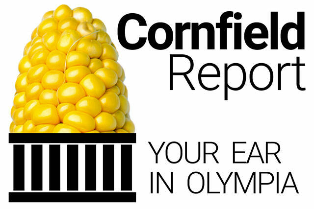 NO CAPTION NECESSARY: Logo for the Cornfield Report by Jerry Cornfield. 20200112