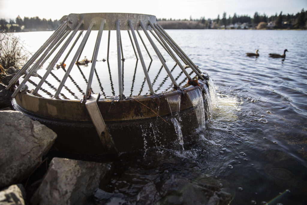 Water pours out of a stormwater basin Tuesday into Lake Ballinger in Mountlake Terrace. (Olivia Vanni / The Herald)
