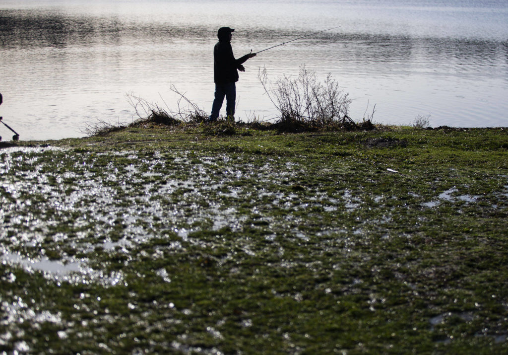 An angler prepares to cast a fishing line Tuesday along the shore of Lake Ballinger in Mountlake Terrace. (Olivia Vanni / The Herald)
