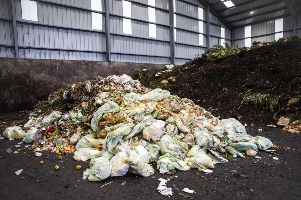 A large pile of food waste fills a section of the tipping building at Cedar Grove Composting on Thursday, Jan. 12, 2023 in Everett, Washington. (Olivia Vanni / The Herald)
