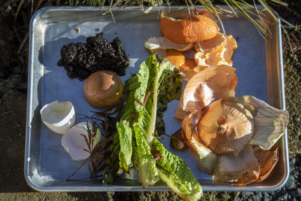 Master Gardener Jackie Trimble, 68, prepares food scraps for her compost in her backyard in Lake Stevens on Wednesday, January 11. (Annie Barker / The Herald)
