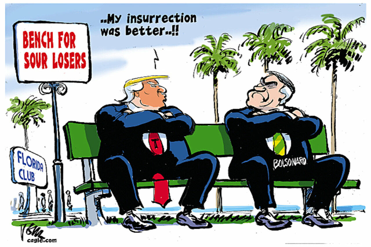 toon