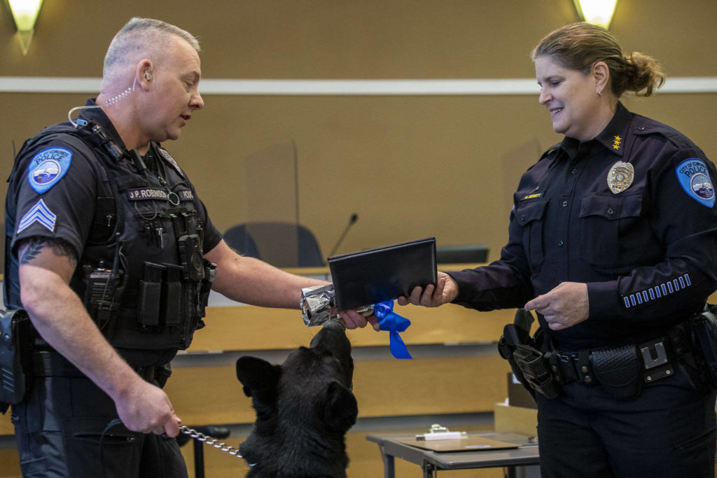 Sgt. Jason Robinson, left, and K-9 Hobbs receive a medal from Edmonds Police Chief Michelle Bennett during Hobbs’ retirement ceremony at the Edmonds Police Department on Thursday, in Edmonds. (Annie Barker / The Herald)
