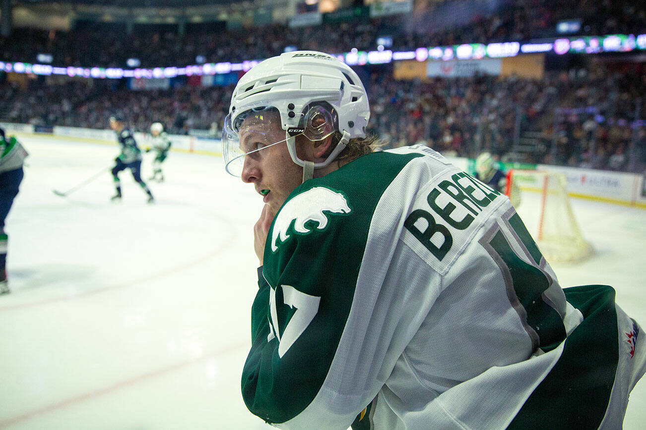 Silvertips winger Jackson Berezowski puts his helmet back on mid-play during a game against Seattle on Saturday, Feb. 4, 2023, at Angel of the Winds Arena in Everett, Washington. (Ryan Berry / The Herald)