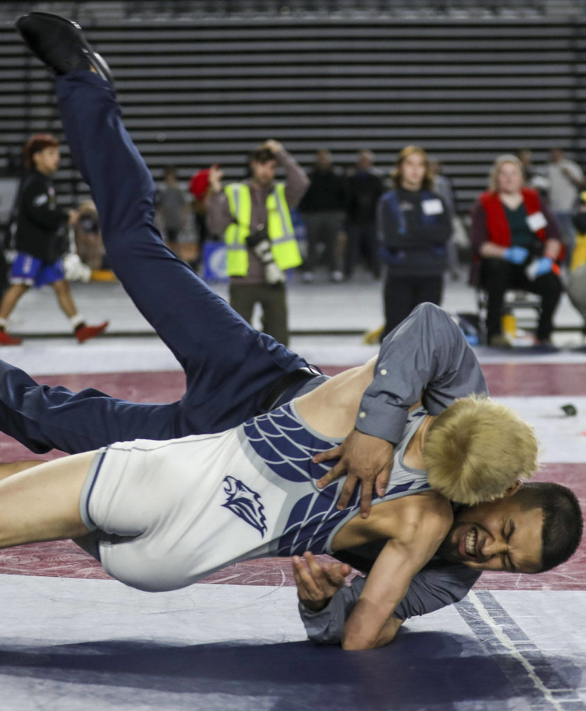 Chiawana’s Isaiah Medina bodyslams one of his coaches after the 4A Boys 113-pound championship match during the Mat Classic XXXIV at the Tacoma Dome in Tacoma, Washington on Saturday, Feb. 18, 2023. (Annie Barker / The Herald)
