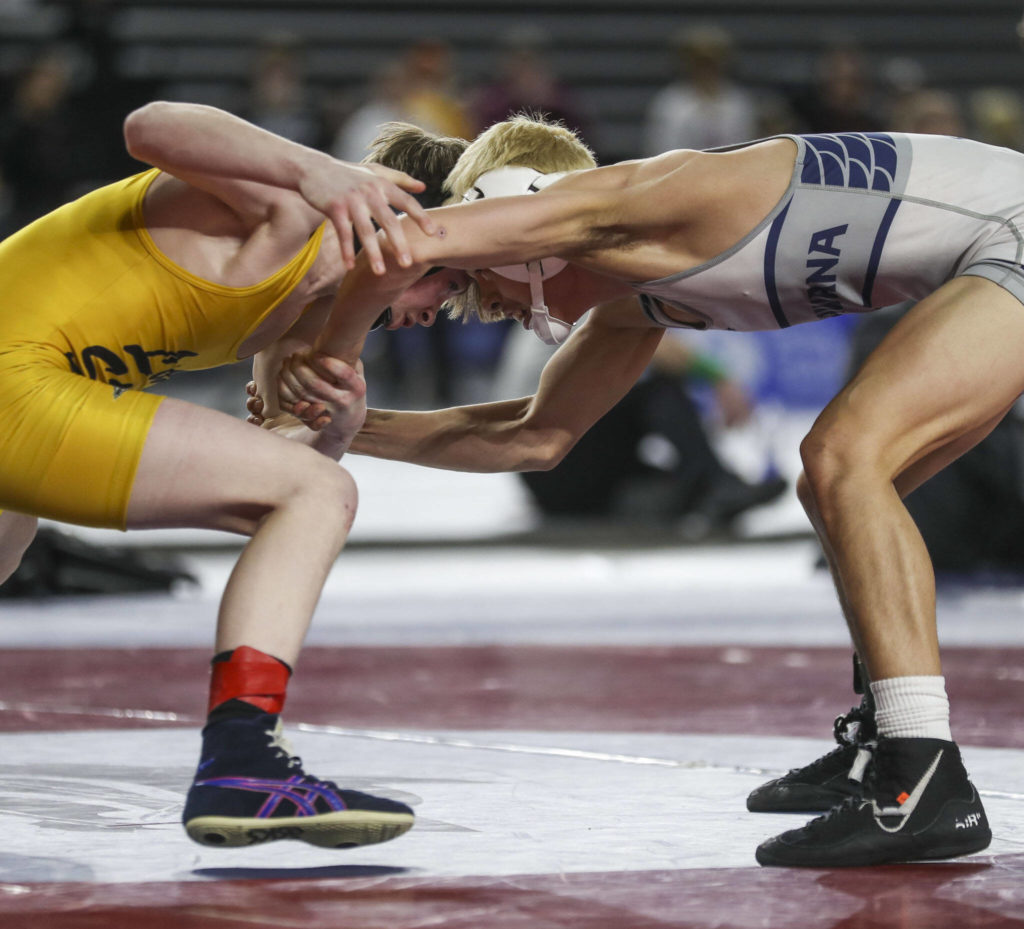 Lake Stevens’ Jacob Christianson and Chiawana’s Isaiah Medina wrestle during the 4A Boys 113-pound championship match during the Mat Classic XXXIV at the Tacoma Dome in Tacoma, Washington on Saturday, Feb. 18, 2023. (Annie Barker / The Herald)
