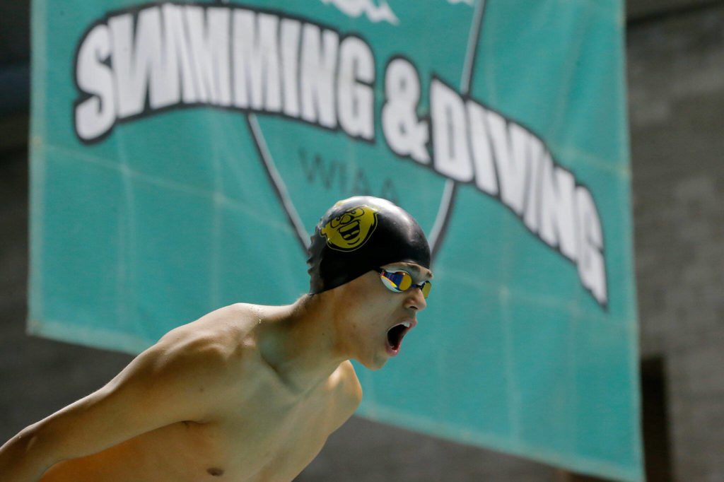 Shorecrest sophomore Tristan Serrano yells out to his teammate as he prepares to dive into the water during the 200 yard freestyle relay final at the 3A WIAA Boys High School Swim and Dive Championships on Friday, Feb. 18, 2023, at the Weyerhaeuser King County Aquatic Center in Federal Way, Washington. (Ryan Berry / The Herald)
