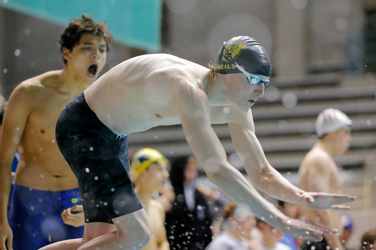 Shorecrest senior Sean Neils begins his dive for the anchor leg of the 200 yard freestyle relay final at the 3A WIAA Boys High School Swim and Dive Championships on Friday, Feb. 18, 2023, at the Weyerhaeuser King County Aquatic Center in Federal Way, Washington. (Ryan Berry / The Herald)