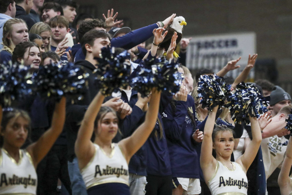 Arlington students cheer during a state playoff game against Walla Walla at Arlington High School on Saturday. Arlington won 68-57. (Annie Barker / The Herald)
