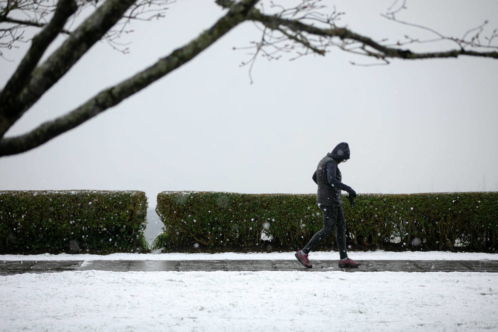 A pedestrian walks through Grand Avenue Park as a light snow comes down Tuesday, in Everett. (Ryan Berry / The Herald) 
