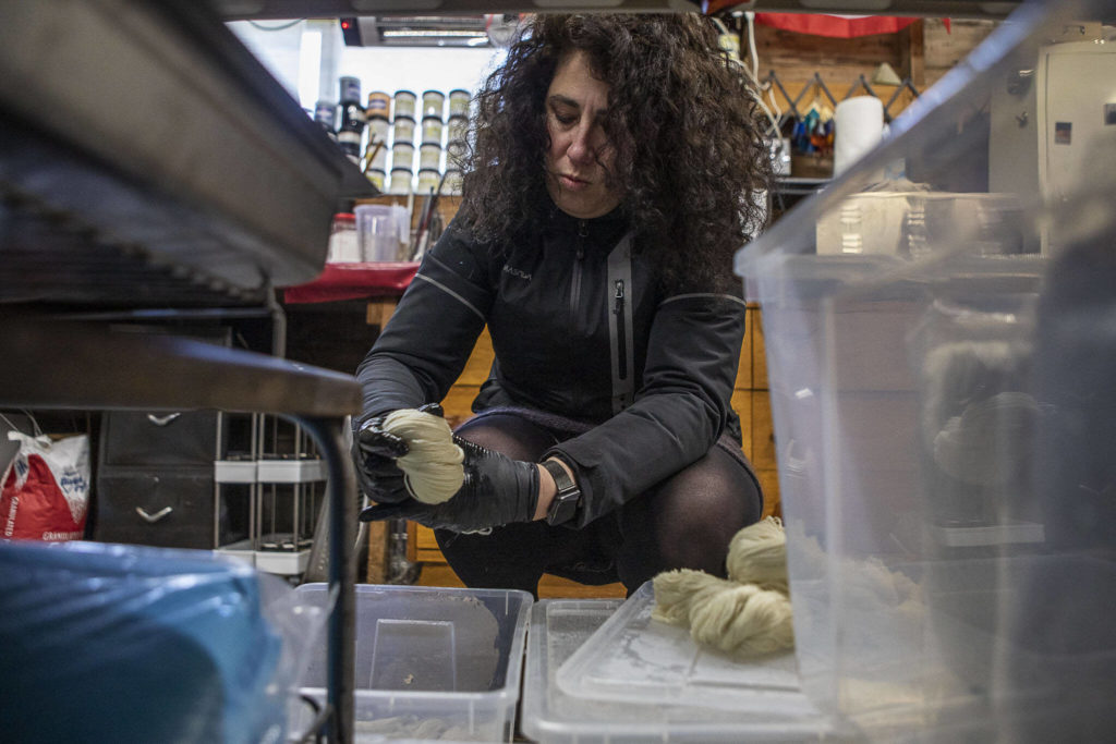 Willow Mietus, 50, dyes yarn in her workshop, which is 1890 carriage house with no heating. (Annie Barker / The Herald)
