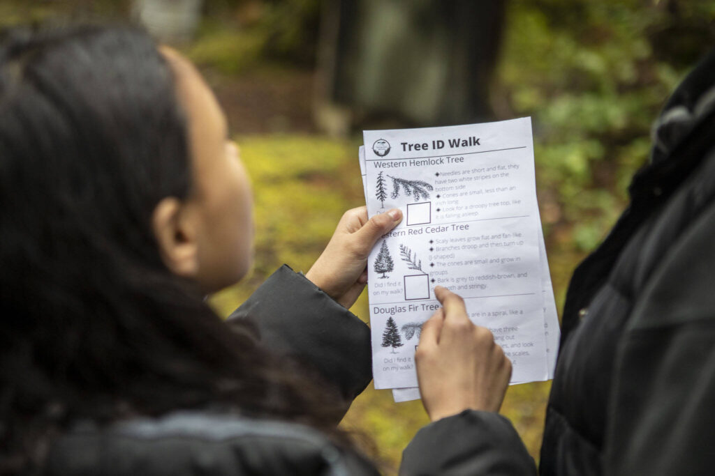 Elementary school children learn how to identify trees near Darrington Elementary School on Feb. 17 in Darrington. Environmental and outdoor education lessons are woven throughout the in-school and after-school activities in this small community, thanks to the Glacier Peak Institute. The non-profit arose from community concerns in the wake of the Oso landslide disaster. (Annie Barker / The Herald)
