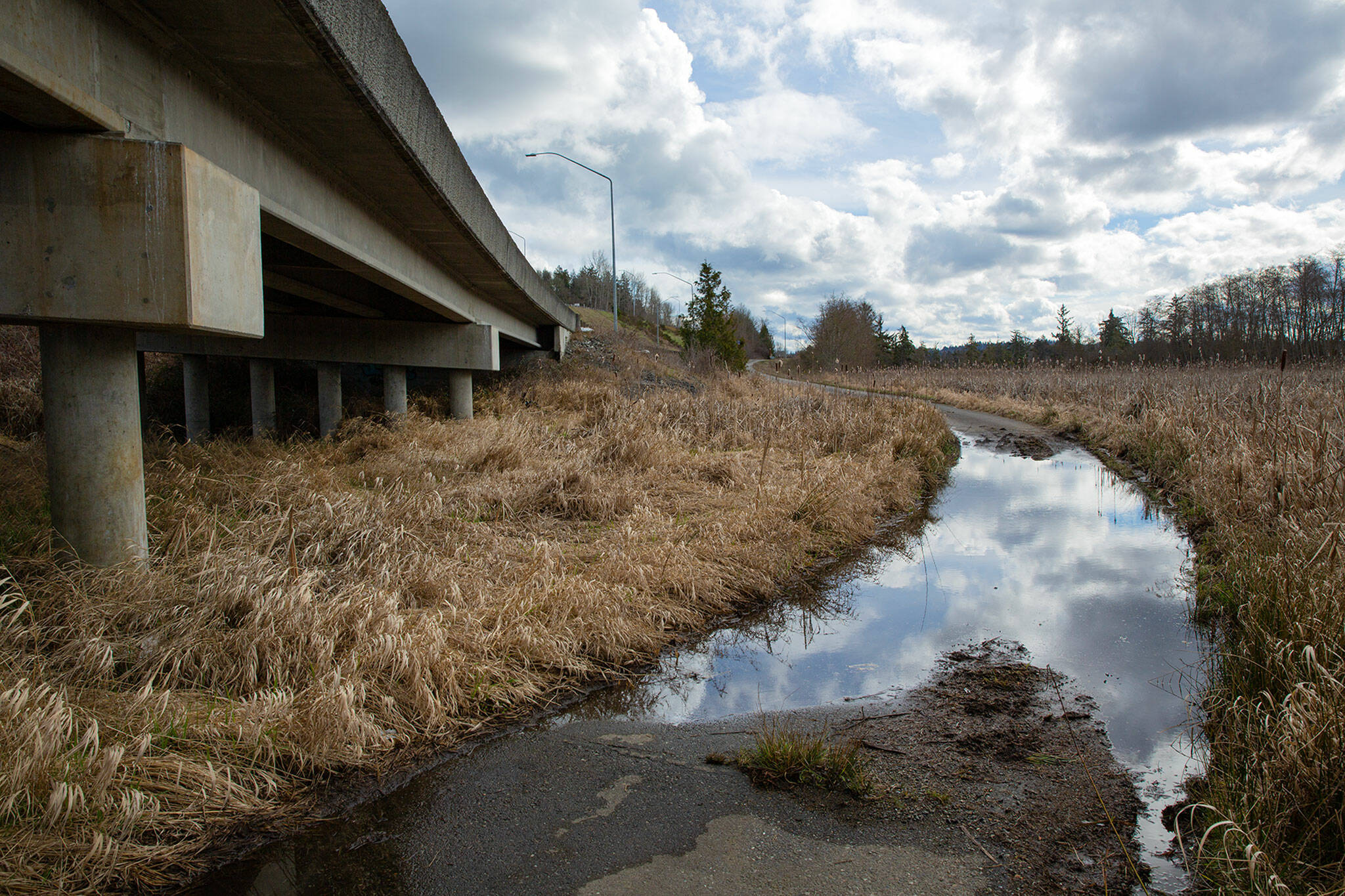A short path flooded with water March 6 heads under U.S. 2 and guides bicyclists eastbound onto the highway’s unprotected shoulder near the junction with Highway 204 in Lake Stevens. A sign guides cyclists down this spur to keep them from having to cross highway traffic before merging onto the shoulder. (Ryan Berry / The Herald)