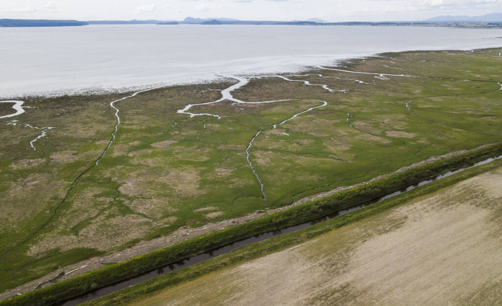 A stretch of the dike that runs along Skagit Bay on May 13, 2022 in Stanwood, Washington. (Olivia Vanni / The Herald)
