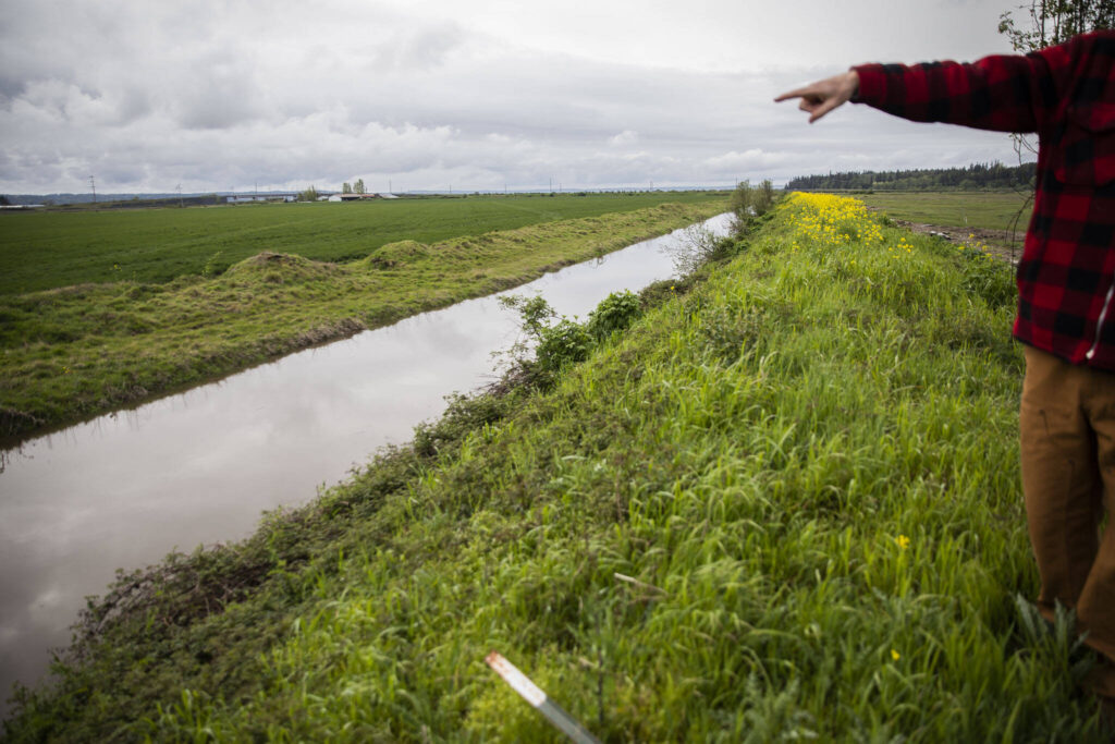 Tyler Breum points out toward his farmland that was underwater when a portion of the dike failed on May 6, 2022 in Stanwood, Washington. (Olivia Vanni / The Herald)
